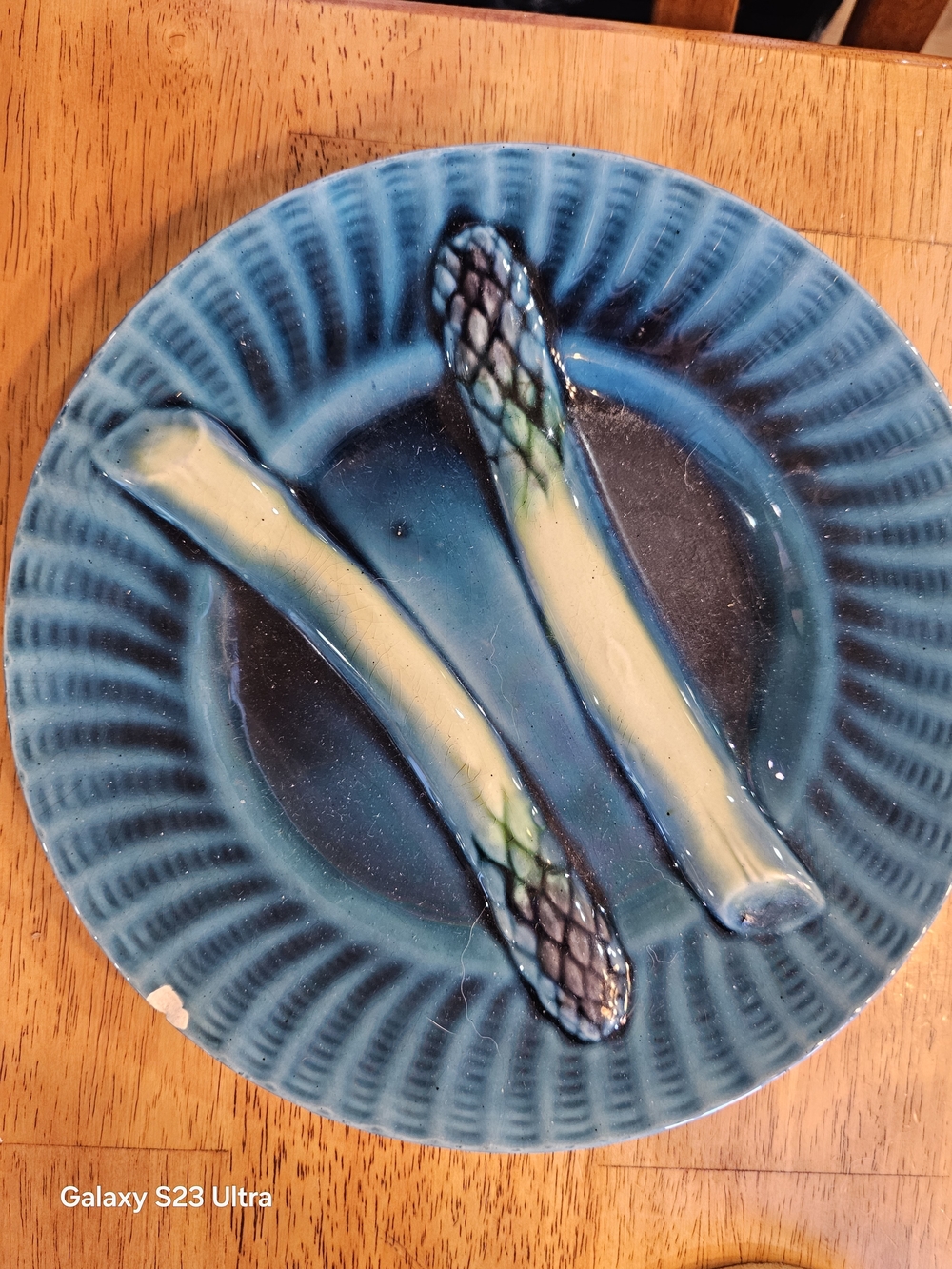 Majolica Ceramic Decorative Plate with Raised Asparagus Motif